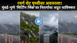 मुंबई-पुणे ‘मिसिंग लिंक’वर स्वर्ग अवतरला! सह्याद्रीतील धबधब्यांचा ‘हा’ सुंदर व्हिडिओ पाहून डोळ्यांवर विश्वास बसणार नाही!