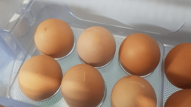 why chicken eggs are most popular