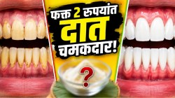 घरातल्या फक्त २ रुपयांच्या ‘या’ गोष्टीने पिवळे दात होतील पांढरेशुभ्र; दात किडणं आणि हिरड्यांचं दुखणंही होईल कायमचं बंद!