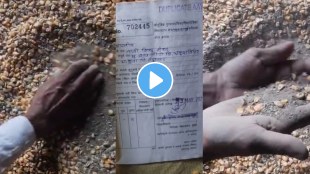 Nandurbar ration shop news | Akkalkuwa substandard maize distribution | Maharashtra PDS scheme grain quality issue | Akkalkuwa tehsildar food supply department inspection