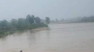 Gadchiroli Sati River Children Drowning news