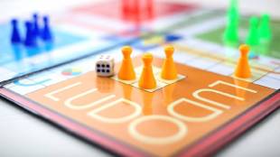 Nagpur Ludo Game Gambling Action
