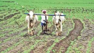 Nashik Farmers Foreign Study Tour Europe China | Agriculture Department Scheme Farmers Foreign Exposure Visit | Ravindra Mane District Superintending Agriculture Officer Nashik | Avinash Patil Lok Satta Agriculture News Nashik