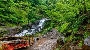 Nashik Monsoon Tourism Waterfalls Surgana Peth | Tribal Homestay Employment Opportunity Nashik | Charushila Kulkarni Lok Satta Nashik Report | Amboli Vaghera Ghat Trimbakeshwar Tourism Nashik