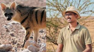Chinmay Sawant Satara IUCN Hyena Specialist Group | Mandesh Striped Hyena Conservation Maharashtra | Species Survival Commission IUCN Selection | Vishwas Pawar Lok Satta Satara Wildlife News