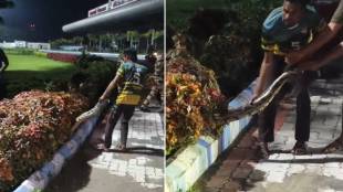 Amravati Belora Airport Python Rescue | 8 Feet Indian Rock Python Found At Amravati Airport | Maharashtra Forest Department Snake Rescue | Amravati Wildlife News Belora FTO Center