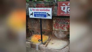 mira bhayandar stray dog feeding centre hygiene issue | bhayandar municipal corporation dog feeding zone cleanliness | stray dog bite helpline number mira bhayandar | bmc sanitation inspector negligence stray dog food