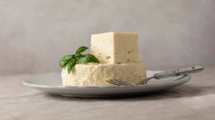 30-percent-fake-paneer-in-market