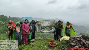 Palghar tree plantation drive | Harit Maharashtra Abhiyan Palghar | Dr Indu Rani Jakhar Palghar District Collector | Palghar news updates