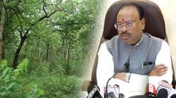 ठाण्यातील एक हजार एकर जमीन वनविभागाचीच, खासगी विकासकांचा दावा महसूलमंत्र्यांनी फेटाळला, ‘लोकसत्ता’च्या बातमीचा परिणाम
