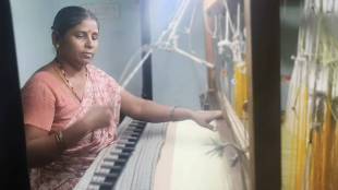 solapuri-silk-saree-handloom-day