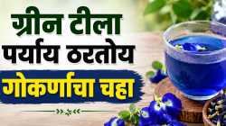 गोकर्णाच्या चहाचे ‘हे’ फायदे; रोज प्यायल्याने मिळू शकतात अनेक आरोग्यदायी लाभ