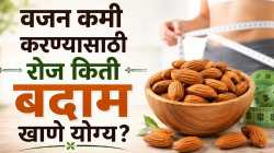वजन कमी करण्यासाठी बदाम खाण्याची योग्य पद्धत आणि योग्य प्रमाण