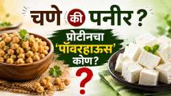 पनीर की चणे, शरीरासाठी काय ठरेल बेस्ट? जाणून घ्या फरक