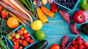Vegan diet for cancer patients