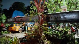 Vashi Crane Collapse