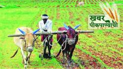 खबर पीक पाण्याची : धाराशिवमधील कृषी विभागाच्या भ्रष्टाचारामुळे महाडीबीटीच्या विश्वासार्हतेला धक्का ?