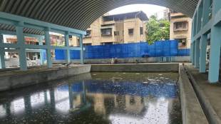 vasai-virar-swimming-pool