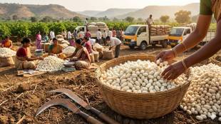 Marathwada Silk Farming