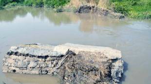 Adani Cement Project Alibaug | Raigad Forest Land Approval | Mangrove Land Alibaug Adani Project | Maharashtra Forest Department Approval