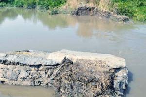 Adani Cement Project Alibaug | Raigad Forest Land Approval | Mangrove Land Alibaug Adani Project | Maharashtra Forest Department Approval