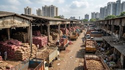 वाशी एपीएमसी कांदा-बटाटा बाजाराचा पुनर्विकास दोन महिन्यांत; महापालिकेच्या नोटिसांनंतर जयकुमार रावल यांचे संकेत