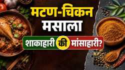 मटण-चिकन मसाला शाकाहारी की मांसाहारी? जाणून घ्या नेमकं सत्य…