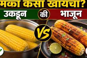 Boiled Corn or Roasted Corn