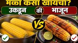मका उकडून खावा की भाजून? जाणून घ्या आरोग्यासाठी कोणता पर्याय उत्तम