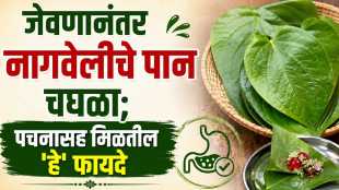 Betel Leaf Beneficial For Health