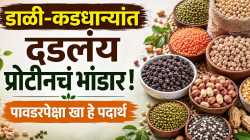 खिशाला परवडणारे प्रोटीन! मूग डाळीपासून सोयाबीनपर्यंत ‘हे’ पदार्थ ठरतील फायदेशीर