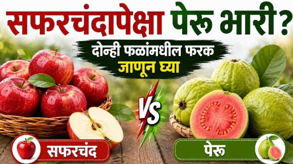 Apple or Guava Which is more beneficial Apple or Guava Which is more beneficial