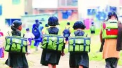 पिंपरी-चिंचवडमधील शाळा-महाविद्यालयाचा परिसर होणार ‘अमली पदार्थ’मुक्त; पोलिसांनी उचलले मोठे पाऊल