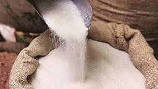 Sugar price hike festival season | Sangli sugar jaggery rate increase | Retail sugar price 60 rupees | Ganesh Utsav festival sweets market price