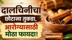 दालचिनीचा छोटासा तुकडा, आरोग्यासाठी मोठे फायदे! जाणून घ्या