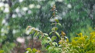maharashtra-rain-updat