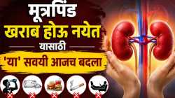 किडनीचे आरोग्य बिघडवणाऱ्या ‘या’ रोजच्या सवयी तुम्हालाही आहेत का?