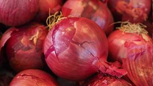 Onion Price Hike