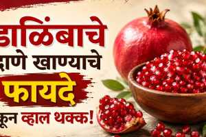 pomegranates benefit
