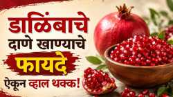 लालचुटूक डाळिंब आरोग्यासाठी ठरते वरदान; जाणून घ्या फायदे
