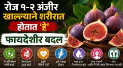 अंजीर खाण्याचे ७ जबरदस्त फायदे; आहारात समावेश करण्याआधी घ्या जाणून…