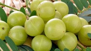 Amla benefits for health