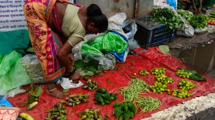 vasai monsoon wild vegetables market | kartoli phodshi price vasai virar | maharashtra tribal women rainy vegetables sale | vasai virar local vegetable market news