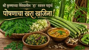 Moringa Shevga Health Benefits