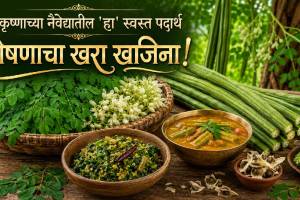 Moringa Shevga Health Benefits