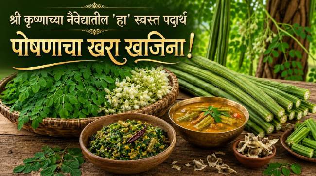 Moringa Shevga Health Benefits