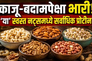 Peanuts almonds cashews pistachios and walnuts showing protein comparison