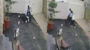 Pitbull Attack on Couple