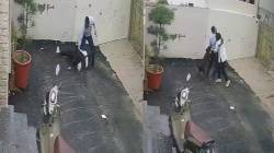 घर पाहण्यासाठी गेलेल्या जोडप्यावर पिटबुल कुत्र्याचा हल्ला, दोघंही जखमी, व्हिडीओ व्हायरल