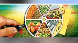 सूक्ष्म अन्न प्रक्रिया योजनेत उल्लेखनीय कामगिरी बद्दल राज्याला राष्ट्रीय पुरस्कार